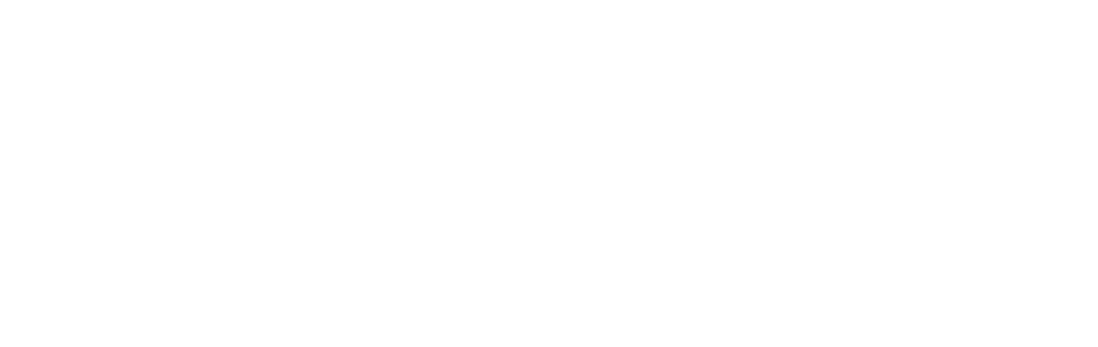 Rahbin Group
